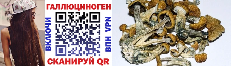 Галлюциногенные грибы мицелий  Тейково 